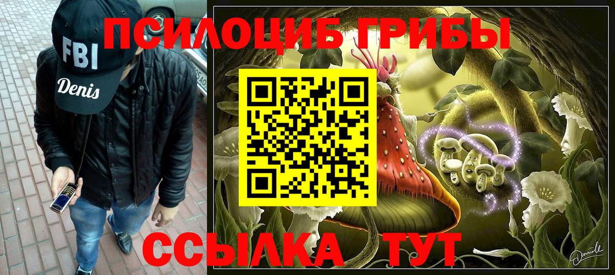 где можно купить   Вход с VPN  Омск  Галлюциногенные грибы прущие грибы 