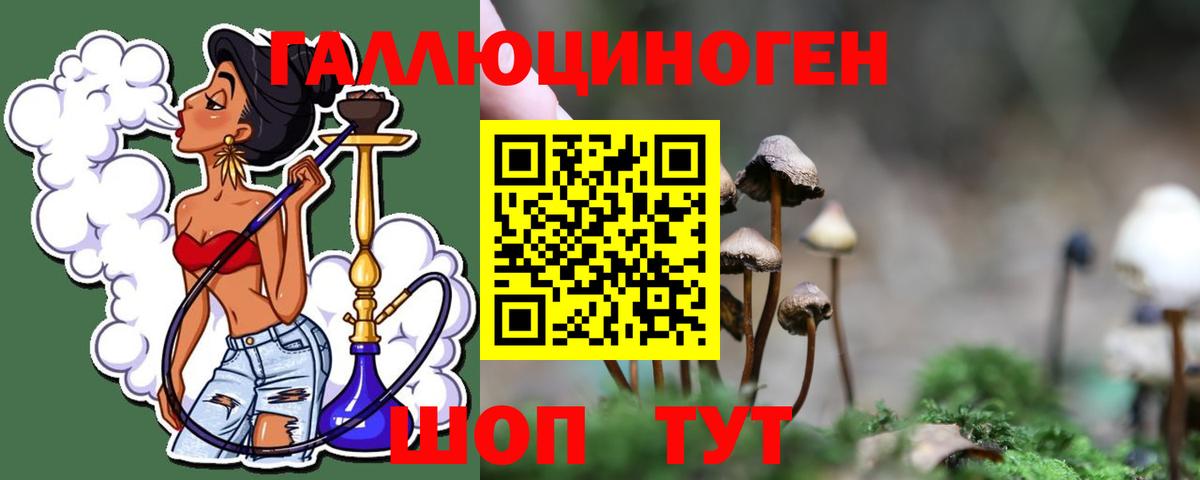 Галлюциногенные грибы Psilocybe Омск